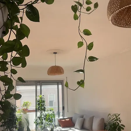 Plant House *