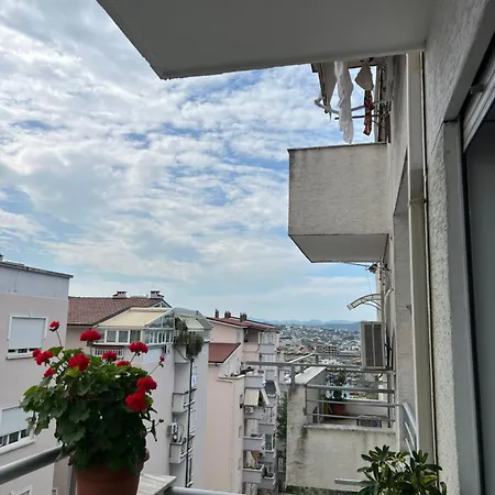 Plant House 티라나