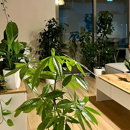 Plant House * 티라나