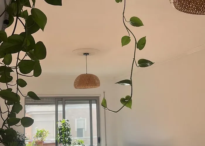 Plant House *